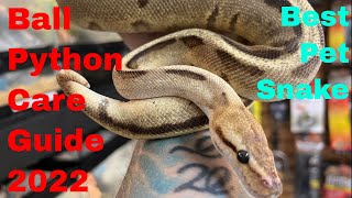 Ball Python Care Guide 2022The Best Pet Snake [upl. by Llerraf]