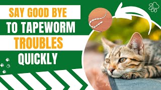 Best Remedies To Treat Tapeworm In Cats [upl. by Neeluj757]