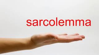 How to Pronounce sarcolemma  American English [upl. by Adnot]