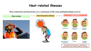 Environmental Emergencies  Emergency Medicine [upl. by Arit341]