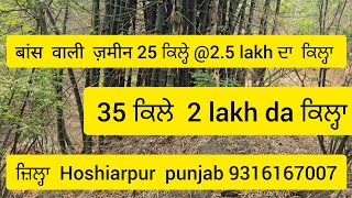 25351575 825 Acre bamboo land for sale in Hoshiarpur punjab hilly village 9316167007 [upl. by Lynch]