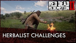 Red Dead Redemption 2 Herbalist Challenges Guide [upl. by Barra]