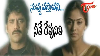 Nuvvu Vasthavani Songs  Neeve Devunivi  Nagarjuna  Simran [upl. by Zea351]