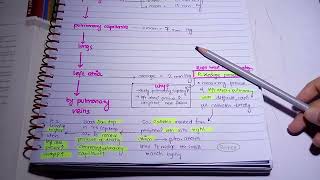 Pulmonary Pressure l systolic amp diastolic l Blood flow through lungs l zones of lungs [upl. by Martino860]