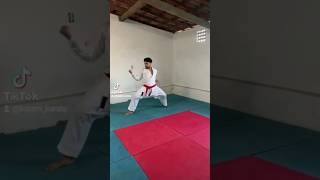 Heian Godan 🥋 karate funakoshi shotokan [upl. by Valida]