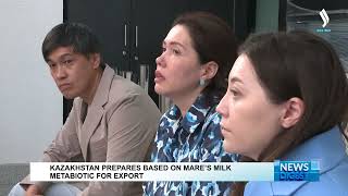 Kazakhstan prepares metabiotic based on mare’s milk for export  Silk way TV  Qazaqstan [upl. by Bhayani]