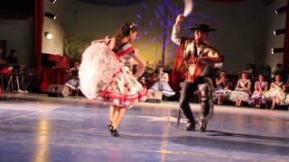 3° Cueca Campeones de arica 2014 [upl. by Amitak]