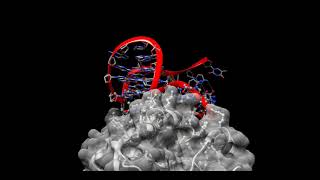 Human thrombin and one of its complexed aptamers [upl. by Sabella]