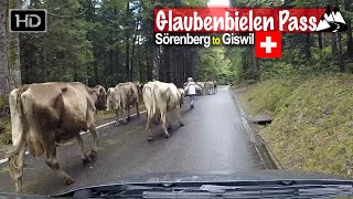 Sörenberg to Giswil via Glaubenbielen Pass and dodging cows  Scenic Drive Switzerland [upl. by Gainer975]