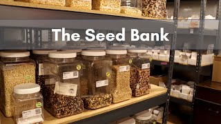 The Seed Bank at Native SeedsSEARCH [upl. by Ennahoj]