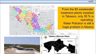 Phytoremediation of wastewater with Thalia Geniculata [upl. by Nagn]