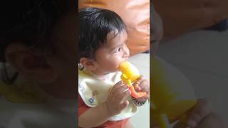 fruit Nibbler 6  month baby food  how to use teether  fruit and juice feeder  pacifier with [upl. by Guild]