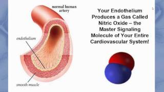 Endothelial Health Webinar [upl. by Yelrebmik]