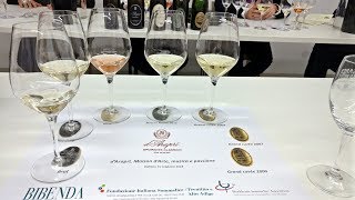 Spumante Cantina dAraprì  Degustazione Gran Cuvée XXI Secolo 2009 FIS TAA [upl. by Aurora]