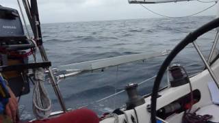 Movie Trailer Gales Whales and the Baja HaHa [upl. by Rosetta]