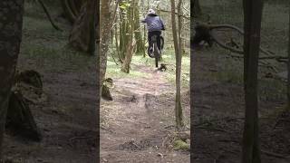 Haldon Forest Mtb launcher 🚀 mtb haldonforest ukmtb biking [upl. by Valentia724]