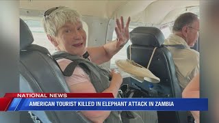 American tourist killed in elephant attack in Zambia [upl. by Aihcila]