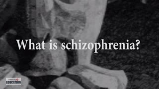 Schizophrenia Causes Symptoms and Facts [upl. by Sillek902]