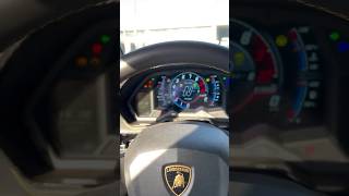 Lamborghini Aventador POV startup sound [upl. by Wachter93]