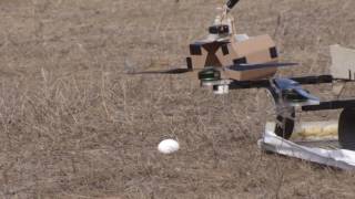 U of T Engineering drone retrieves goose egg [upl. by Elconin]