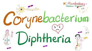 Corynebacterium Diphtheriae Characteristics  Microbiology 🧫 amp Infectious Diseases [upl. by Artcele938]