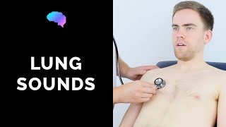 Lung sounds respiratory auscultation sounds  UKMLA  CPSA [upl. by Kreegar465]