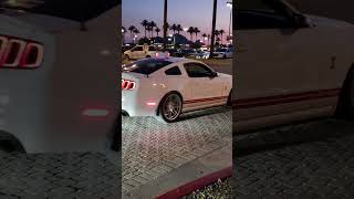 shelby mustang gt500 on air leaves car meet [upl. by Gurango222]