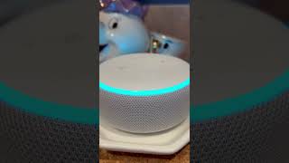 Alexa’s question of the day 110624 alexa question amazonalexa youtube november election [upl. by Onaicram412]