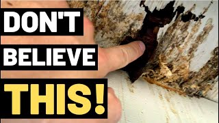 THE TRUTH ABOUT WOOD ROT You need to watch this [upl. by Odlonyer]