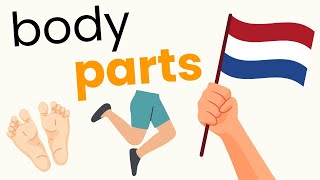 20 Lichaamsdelen In Het Nederlands  Learn Body Words In Dutch  The Dutch Den [upl. by Mann411]