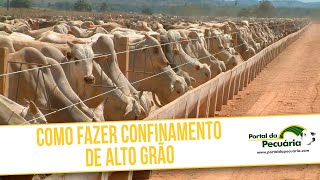 Como fazer confinamento de alto grão [upl. by Oirretno647]