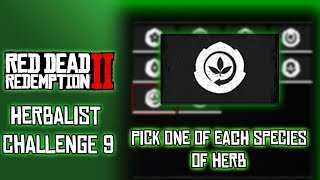 RDR2 Herbalist Challenge 9 Pick One of Each Species of Herb [upl. by Bouley]