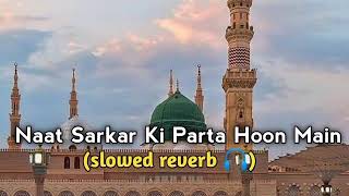 Naat Sarkar Ki Parta Hoon Main slowed reverb 🎧🥰❤️ Lofi Naat Milad Raza Qadri New Naat lofi [upl. by Andrews401]