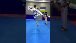 Master These 9 Essential Taekwondo Kicks [upl. by Saitam]