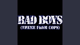 Bad Boys Theme from Cops [upl. by Nevur533]