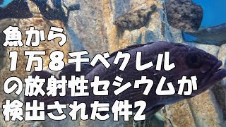 魚から１万８千ベクレルの放射性セシウムが検出された件2 [upl. by Krever]