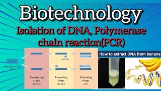 Polymerase chain reaction PCR l isolation of DNA biology [upl. by Karissa]