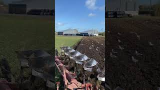 Fendt 828 ploughing in Ireland 🇮🇪 [upl. by Babita345]