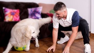 Me and My Dog Playing with a Soccer Ball [upl. by Earized]