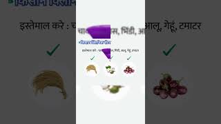 🌾Areva insecticide Dhanuka🌾 रस चसक कीटों का नियंत्रण अरेवा कीटनाशक 🌾 [upl. by Oliver]