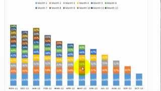 Excel Cohort Analysis [upl. by Aleehs152]