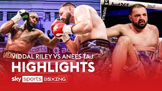 Viddal Riley BLASTS OUT Anees Taj 🔥  HIGHLIGHTS [upl. by Mikey]