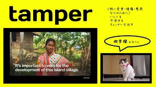 英検1級【過去問】1200単語 Tamper [upl. by Aisinut]