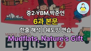 중2 시사 박준언 6과 본문 음원 듣기  한줄 해석  쉐도잉 연습  Mudflats Natures Gift [upl. by Yssirk974]