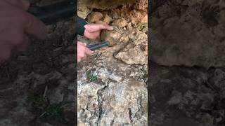 metal detecting treasuresearch metaldetector treasurediscoveries treasure history [upl. by Sax]