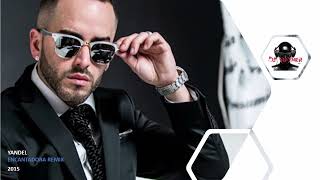 🔊 Yandel  ENCANTADORA Remix Dj RayneRHD 🔊 [upl. by Welcher]