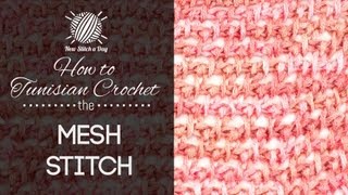 How to Tunisian Crochet the Mesh Stitch [upl. by Anicart427]