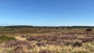 Cannock Chase Staffordshire [upl. by Boone686]