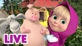 🔴 LIVE Maşa İle Koca Ayı 🙌 Hayırlı İşler Bürosu 🤗🏢 Masha and the Bear [upl. by Irec338]