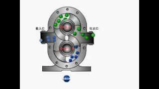 Functional Principle of a Rotary Piston Pump [upl. by Willa]